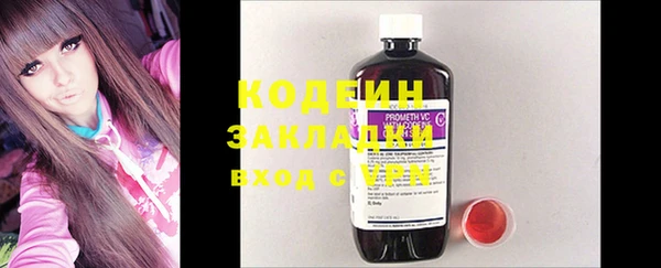 шишки Белоозёрский