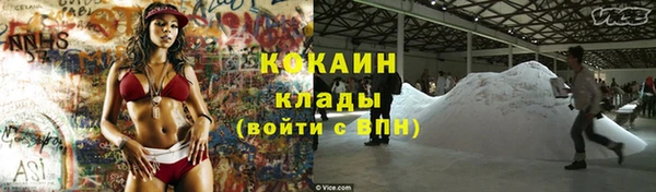 шишки Белоозёрский