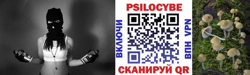 Псилоцибиновые грибы мухоморы Велиж